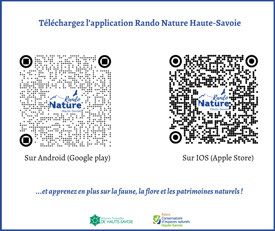 Flashez QRcode pour télécharger l'application